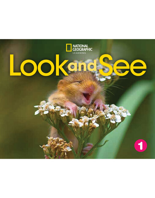 Look and See 1 with the Spark platform book cover