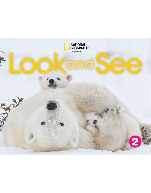 Look and See 2 with the Spark platform book cover