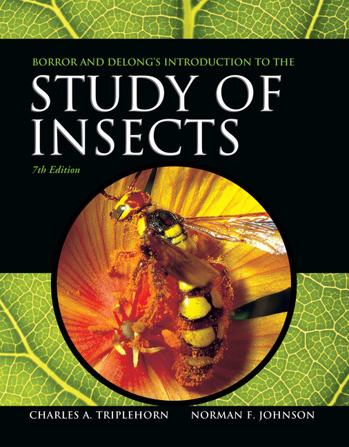 Borror and DeLong's Introduction to the Study of Insects book cover