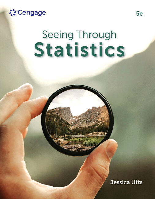 Seeing Through Statistics book cover