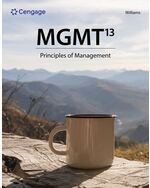 MGMT book cover