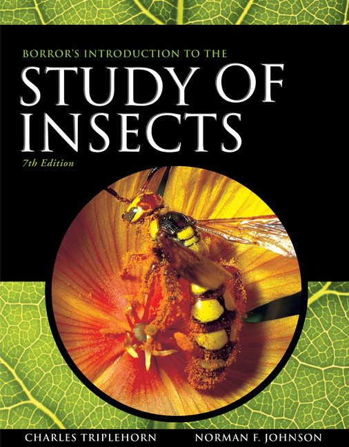 Introduction Study Insects Borror Delong