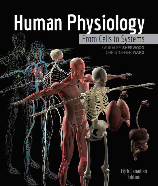 eTextbook: Human Physiology: From Cells to Systems, 5th