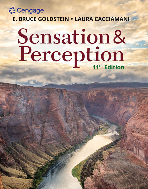 [美品]Sensation & Perception 2nd edition Amazon.com: Sensation and Perception: 9781483308104
