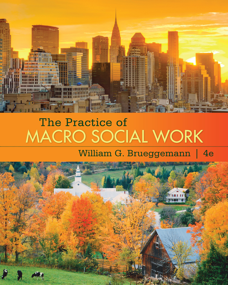 Product cover for The Practice of Macro Social Work 4th Edition by William G. Brueggemann