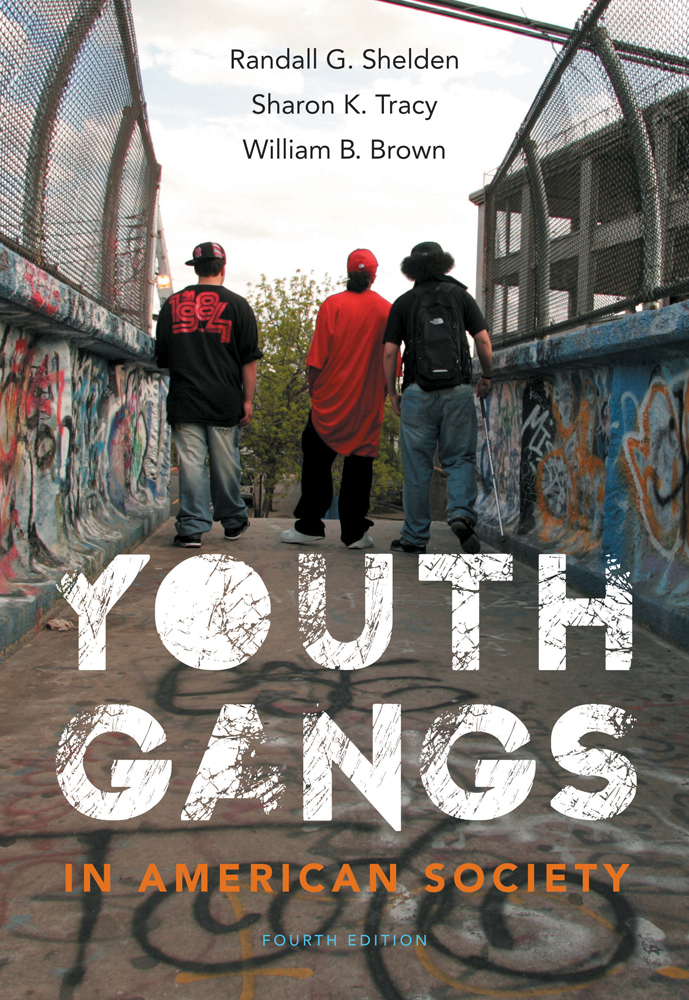 Youth Gangs in American Society, 4th Edition - 9781133049562 - Cengage