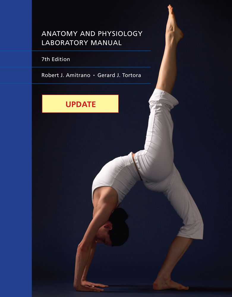 Human Physiology 9781285866932 Cengage