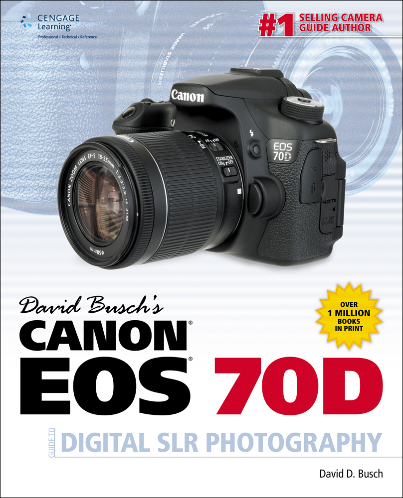 David buschs compact field guide for the canon eos rebel t4i650d david buschs digital photography guides