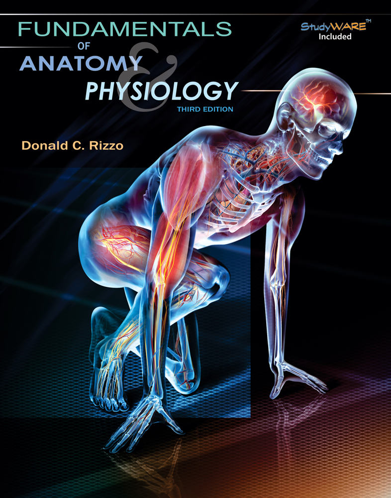 Image result for Donald C Rizzo - Fundamentals of Anatomy and Physiology, Third Edition -Delmar Cengage Learning (2009)