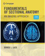 Workbook for Lazo's Fundamentals of Sectional Anatomy: An Imaging Approach, 2nd