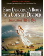 American History and Government Collection