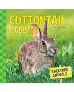 Cottontail Rabbits