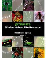 Grzimek's Student Animal Life Resource: Insects and Spiders