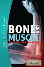 The Human Body: Bone and Muscle: Structure, Force, and Motion