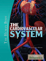 The Human Body: The Cardiovascular System