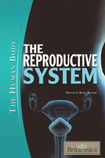 The Human Body: The Reproductive System