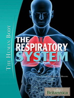 The Human Body: The Respiratory System
