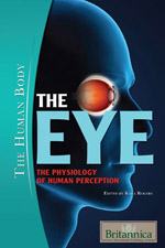 The Human Body: The Eye: The Physiology of Human Perception