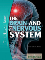 The Human Body: The Brain and the Nervous System