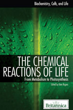 Biochemistry, Cells, and Life: The Chemical Reactions of Life: From Metabolism to Photosynthesis