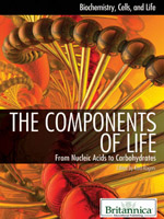 Biochemistry, Cells, and Life: The Components of Life: From Nucleic Acids to Carbohydrates