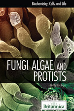 Biochemistry, Cells, and Life: Fungi, Protists, and Algae