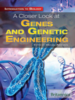 Introduction to Biology: A Closer Look at Genes and Genetic Engineering