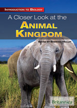 Introduction to Biology: A Closer Look at the Animal Kingdom