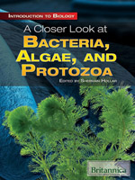 Introduction to Biology: A Closer Look at Bacteria, Algae, and Protozoa