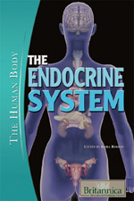The Human Body II: The Endocrine System