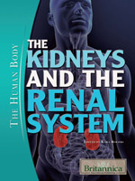 The Human Body II: The Kidneys and the Renal System