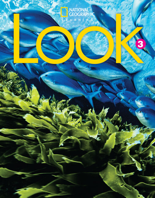 Look 3: Reading Anthology cover