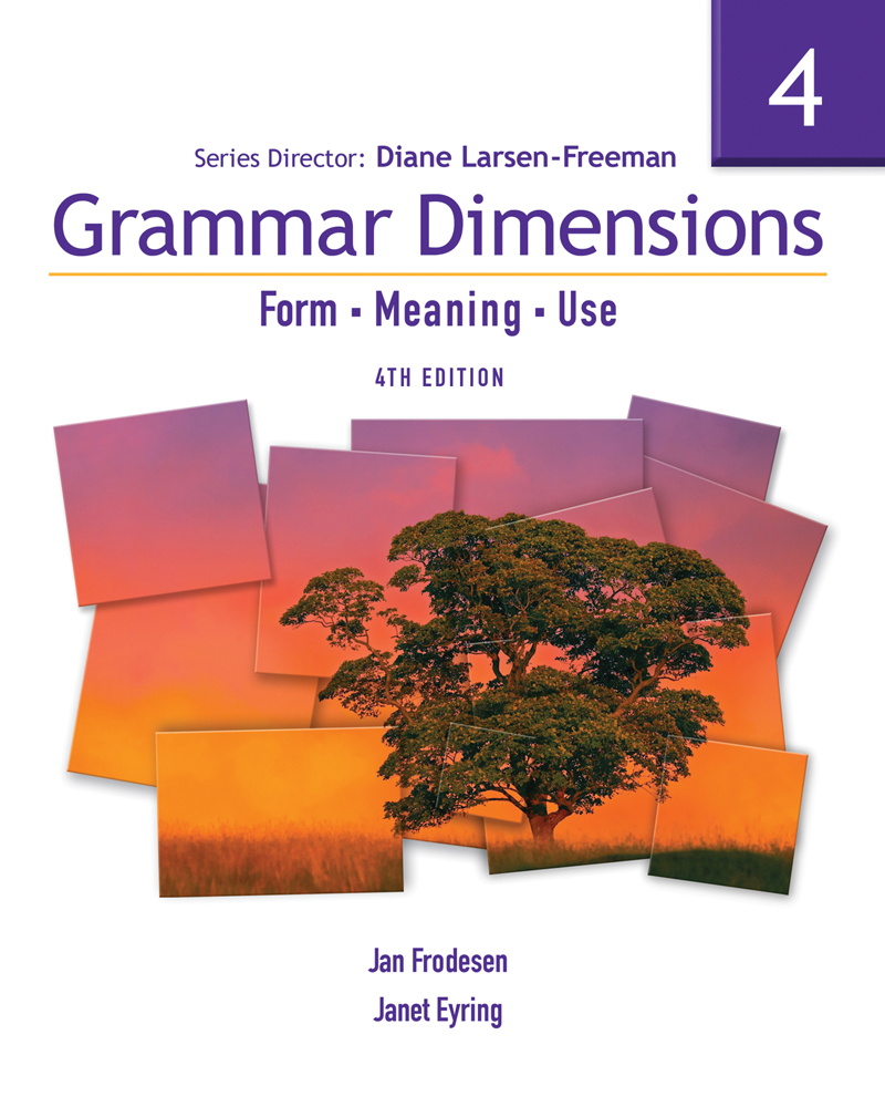 Grammar Dimensions 4: Form, Meaning, Use book cover