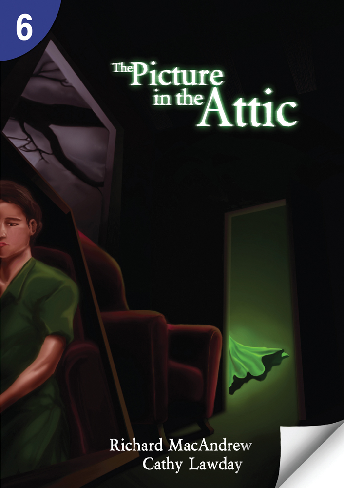 The Picture in the Attic: Page Turners 6 book cover